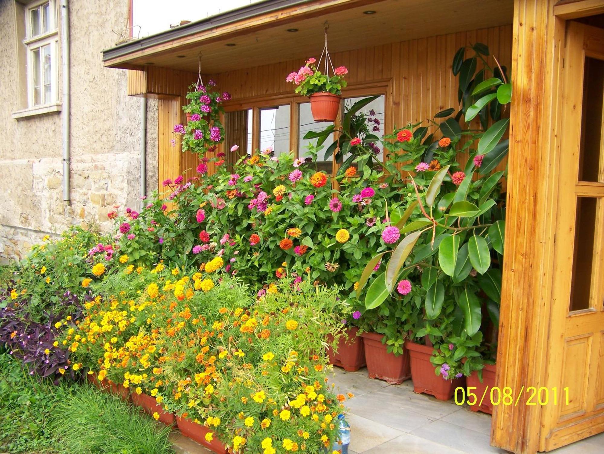 Hotel Comfort Veliko Tarnovo Exterior foto